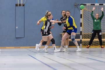 Bild 16 - F HSG Pinnau2 - Rellinger TV2 : Ergebnis: 27:20